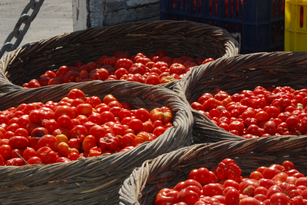 Santorini cherry tomato (tomataki)