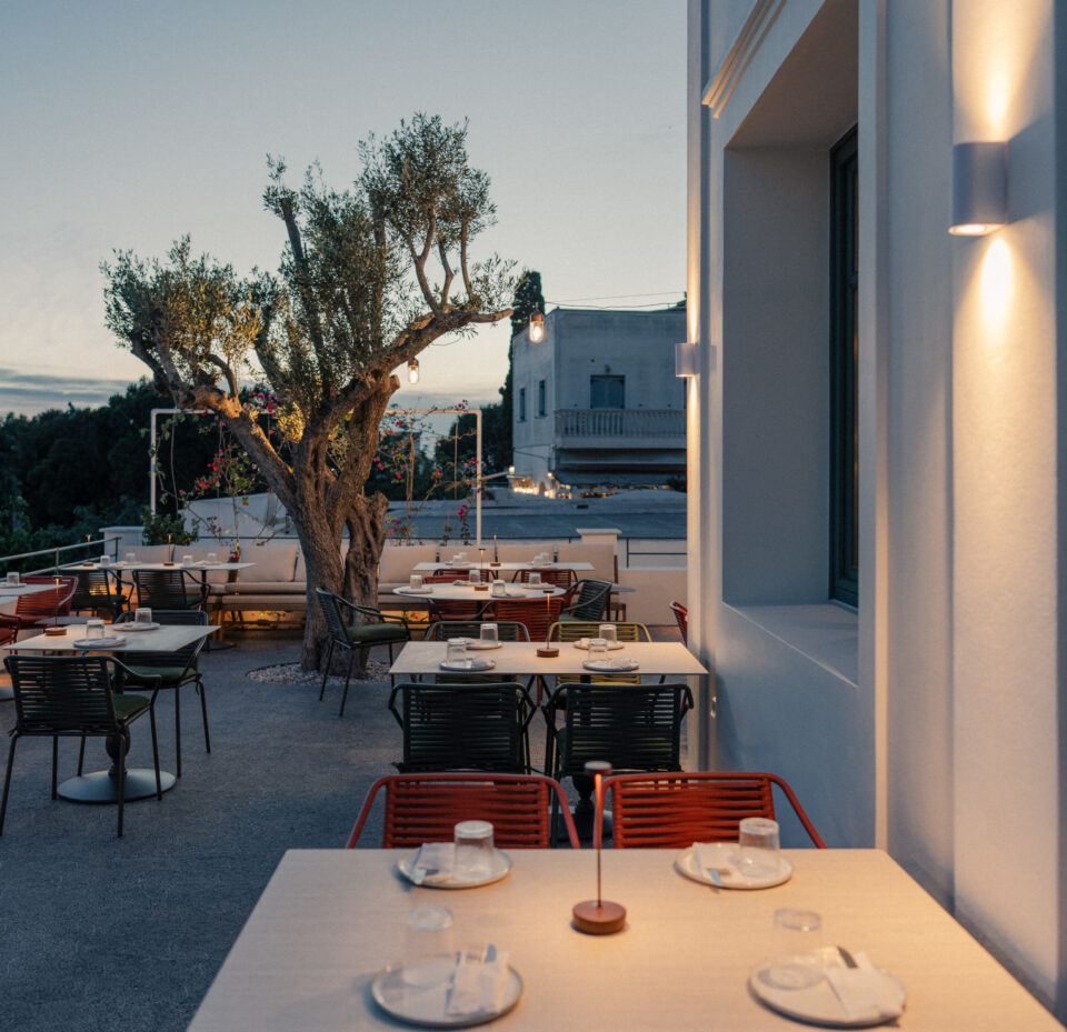 Outdoor restaurant patio at dusk with olive tree