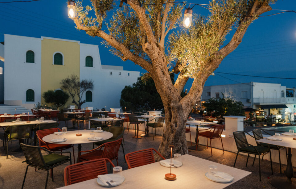 Outdoor terrace restaurant under olive tree at dusk