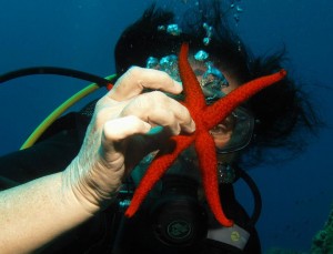 The first contact with the Caldera seafloor