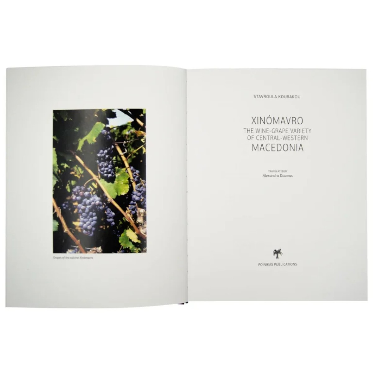 Xinómavro, The wine-grape variety of Central-western Macedonia - Image 3