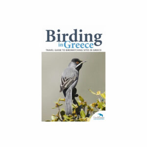 Birding in Greece - Travel Guide to Birdwatching Sites in Greece