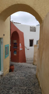 covid19_oia_alley