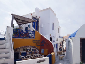 covid19_oia_alley