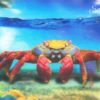 Postcard - 3D - Colorful Crab