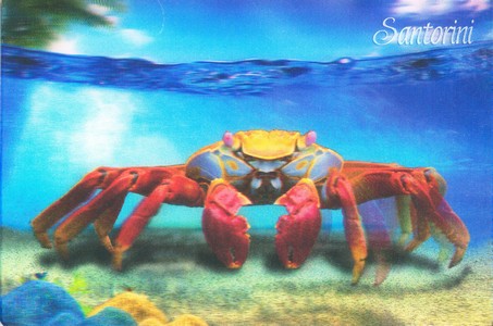 Postcard - 3D - Colorful Crab