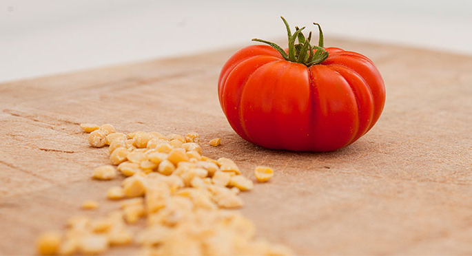 Cherry tomato and fava, Santorini local agricultural products