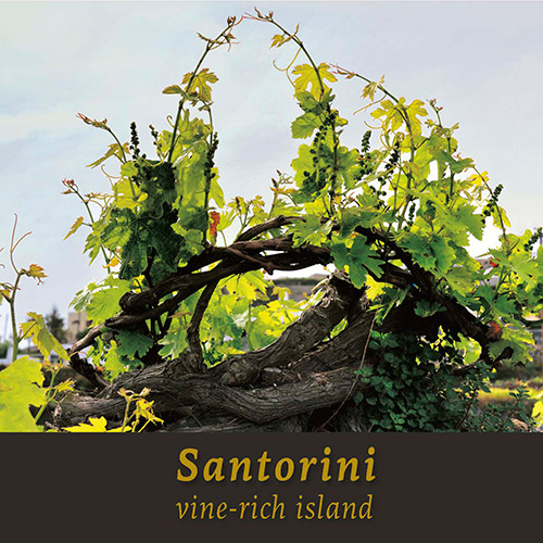 Santorini, vine-rich island