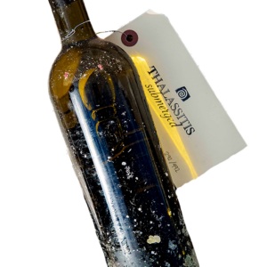 Marine-encrusted submerged wine bottle with hanging tag