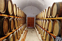 wiinery_210x140